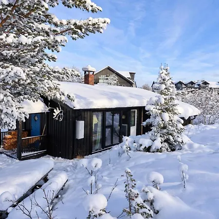 Casa vacanze 6 Bed Traditional Mountain In Geilo - Close To Skiing And Hiking Hol (Buskerud)