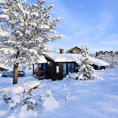6 Bed Traditional Mountain In Geilo - Close To Skiing And Hiking Feriehus