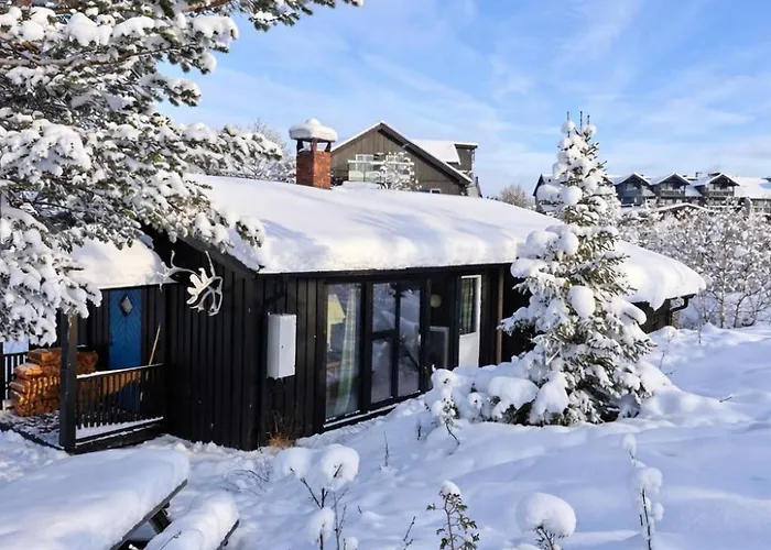 Tatil Evi 6 Bed Traditional Mountain In Geilo - Close To Skiing And Hiking Hol (Buskerud)