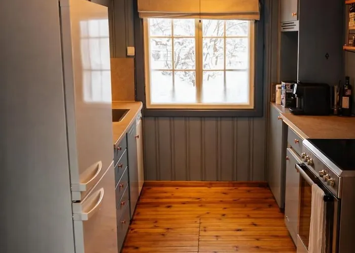 Tatil Evi 6 Bed Traditional Mountain In Geilo - Close To Skiing And Hiking Hol (Buskerud)